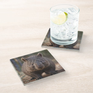 Dessous-de-verre En Verre "Chubby Charm : L'adorable Wombat Australien"