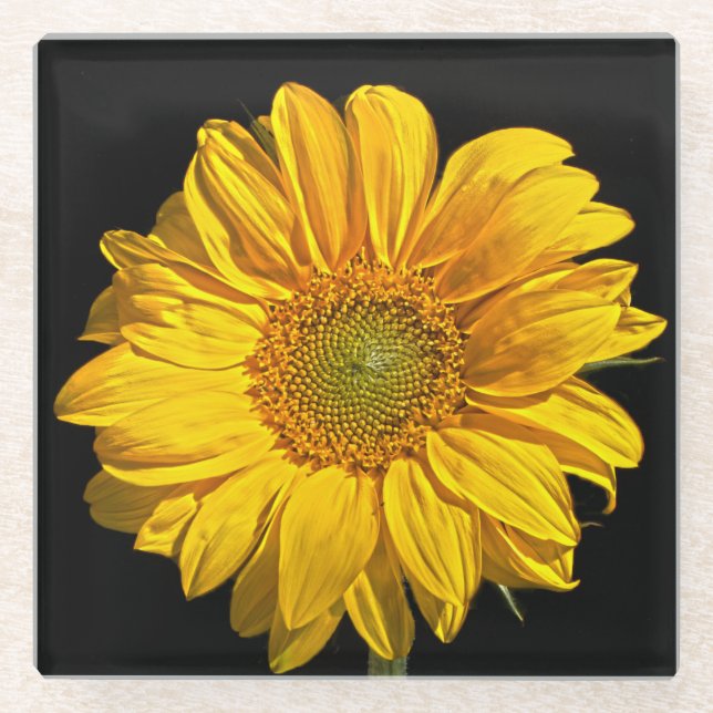 Dessous-de-verre En Verre Coastère de tournesol (Devant)