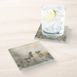 Dessous-de-verre En Verre Colibri 5265