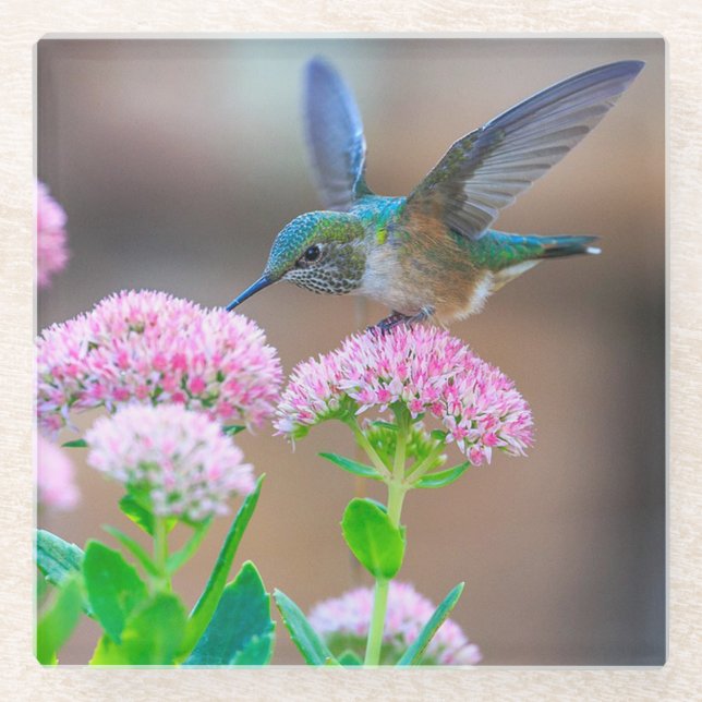 Dessous-de-verre En Verre Colibri et fleurs (Devant)