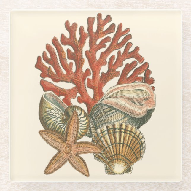 Dessous-de-verre En Verre Collection de vies marines (Devant)