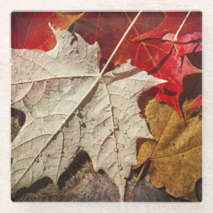 Dessous-de-verre En Verre Colorful Fall Maple Feuilles Flottants