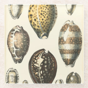 Dessous-de-verre En Verre Coquillages uniquement formés
