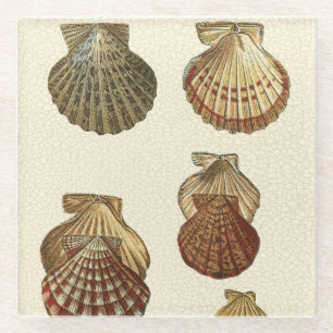 Dessous-de-verre En Verre Coquilles antiques crépitées