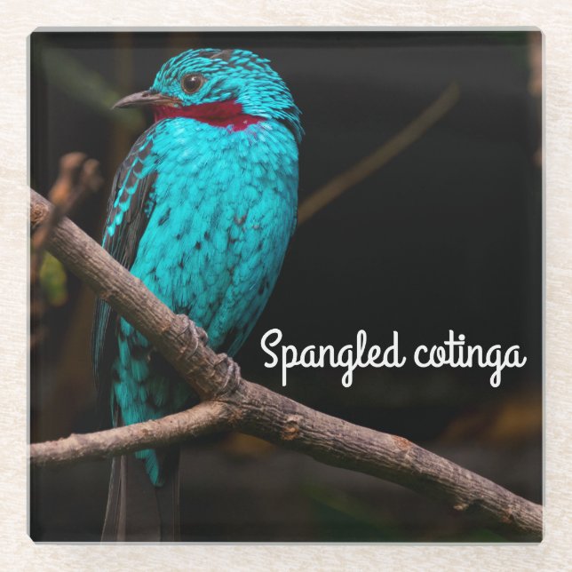 Dessous-de-verre En Verre Cotinga épangée (Devant)