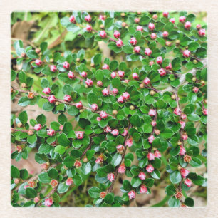Dessous-de-verre En Verre Cotonou horizontalis