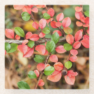 Dessous-de-verre En Verre Cotonou horizontalis