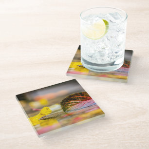 Dessous-de-verre En Verre Couleurs d'automne
