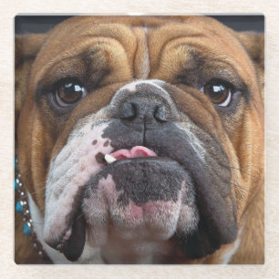 Dessous-de-verre En Verre Coussin de jet de Bouledogue Anglais