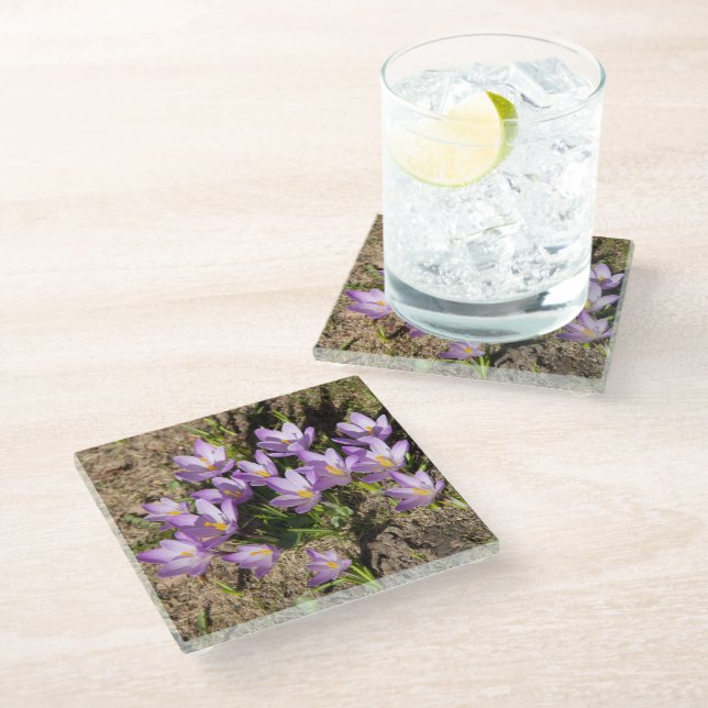 Dessous-de-verre En Verre Crocus de printemps mignons (Incliné)