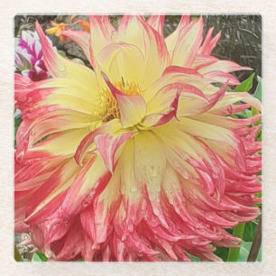 Dessous-de-verre En Verre Dahlia rose et jaune
