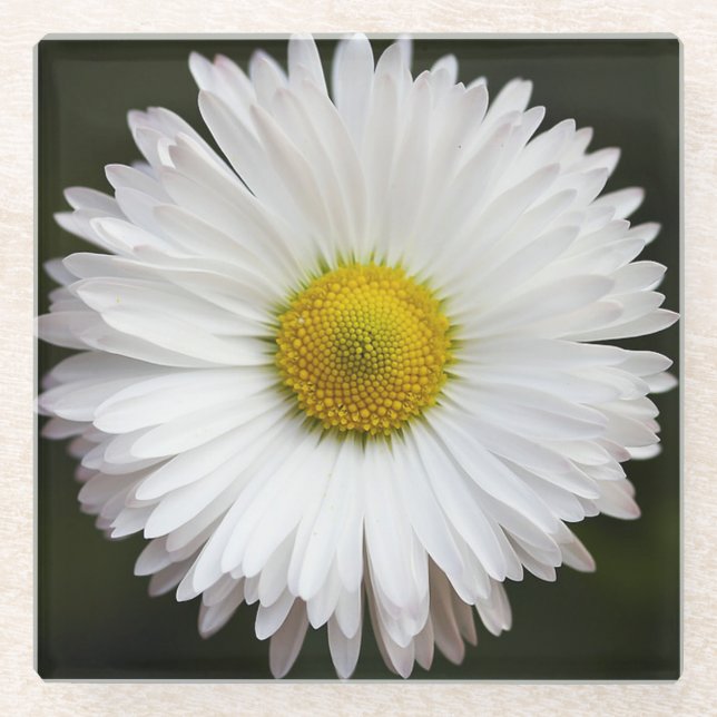 Dessous-de-verre En Verre Daisy (Devant)
