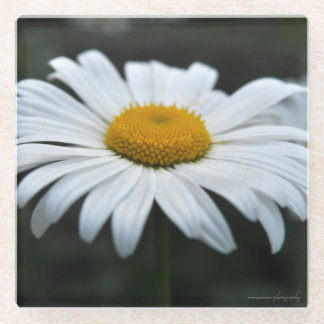 Dessous-de-verre En Verre Daisy - Face vers le haut