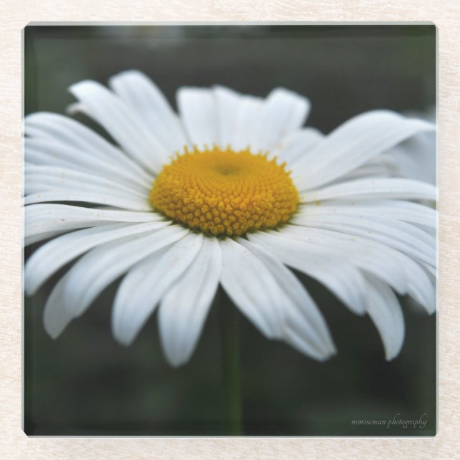 Dessous-de-verre En Verre Daisy - Face vers le haut (Devant)