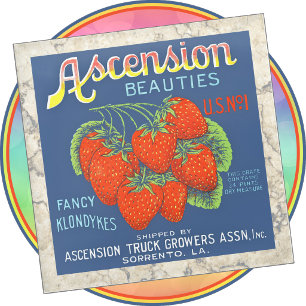Dessous-de-verre En Verre DESSOUS DE VERRE - Ascension Beautés - Produire Ét