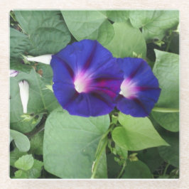 Dessous-de-verre En Verre Dessous de verre en verre à l'image florale