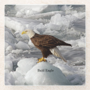 Dessous-de-verre En Verre Dessous de verre en verre Bald Eagle