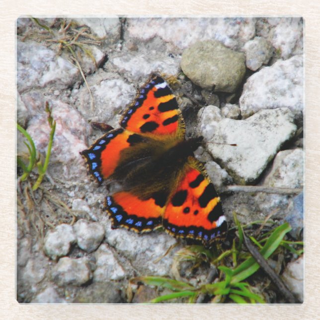 Dessous-de-verre En Verre Dessous de verre en verre papillon (Devant)
