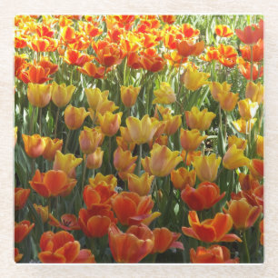 Dessous-de-verre En Verre Dessous de verre en verre Tulips
