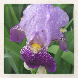 Dessous-de-verre En Verre Dessous de verre Iris Violet