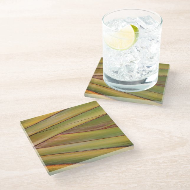 Dessous-de-verre En Verre Dessous de verre Palm Tree (Incliné)