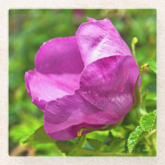 Dessous-de-verre En Verre Dessous de verre roses sauvages