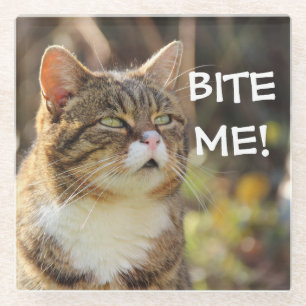 Dessous-de-verre En Verre Drôle Sassy Chat avec Attitude Bite Me
