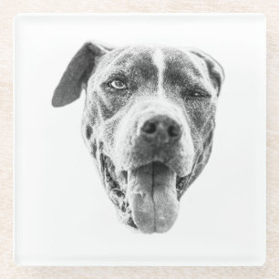 Dessous-de-verre En Verre Echo Canine Canine Chiline