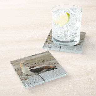 Dessous-de-verre En Verre Étonnant oiseau à pattes à la plage américain Avoc