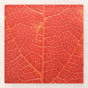 Dessous-de-verre En Verre Feuille automnale