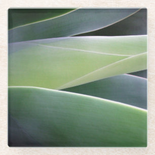 Dessous-de-verre En Verre Feuille d'agave