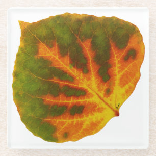 Dessous-de-verre En Verre Feuille vert orange et jaune d'Aspen #1