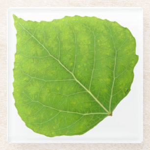 Dessous-de-verre En Verre Feuille verte #11 d'Aspen