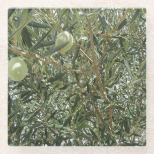 Dessous-de-verre En Verre Feuilles d'oliviers