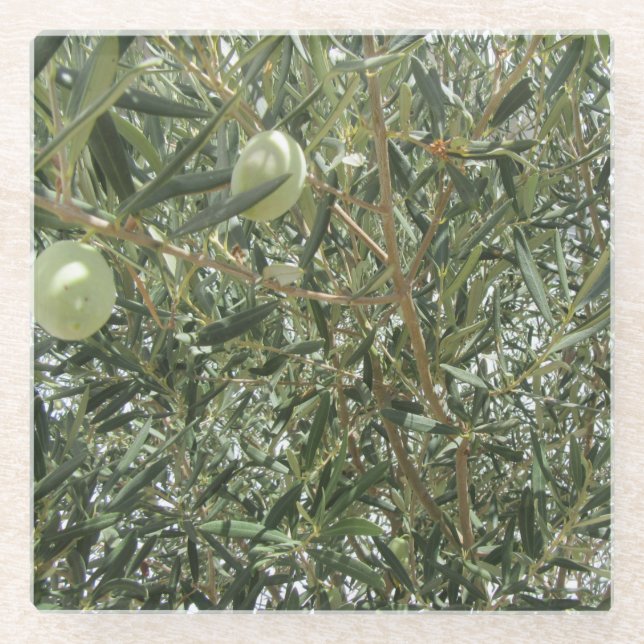 Dessous-de-verre En Verre Feuilles d'oliviers (Devant)