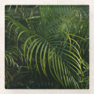 Dessous-de-verre En Verre Feuilles tropicales, botanique vert foncé
