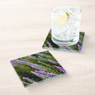 Dessous-de-verre En Verre Fleur sauvage pourpre et vert