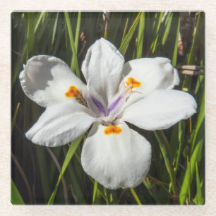Dessous-de-verre En Verre Fleur tropicale blanche