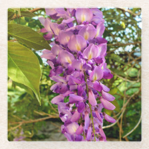 Dessous-de-verre En Verre Fleur Wisteria