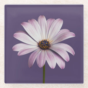 Dessous-de-verre En Verre Fleurs Blancs et marguerites