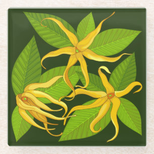 Dessous-de-verre En Verre Fleurs parfumées exotiques de Ylang Ylang