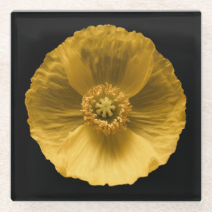 Dessous-de-verre En Verre Fleurs Pavot jaune