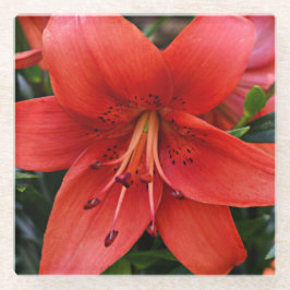 Dessous-de-verre En Verre Floral Orange Lily