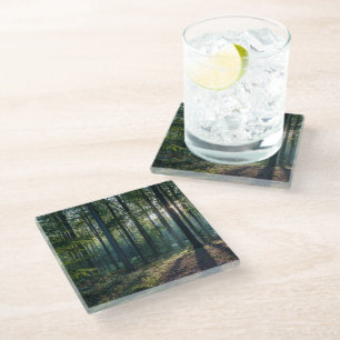 Dessous-de-verre En Verre Forests   Black Forest Germany