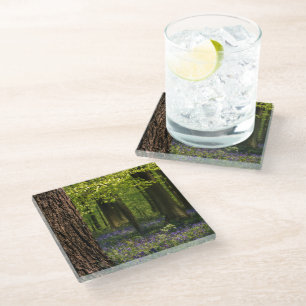 Dessous-de-verre En Verre Forests Bluebells in Belgium