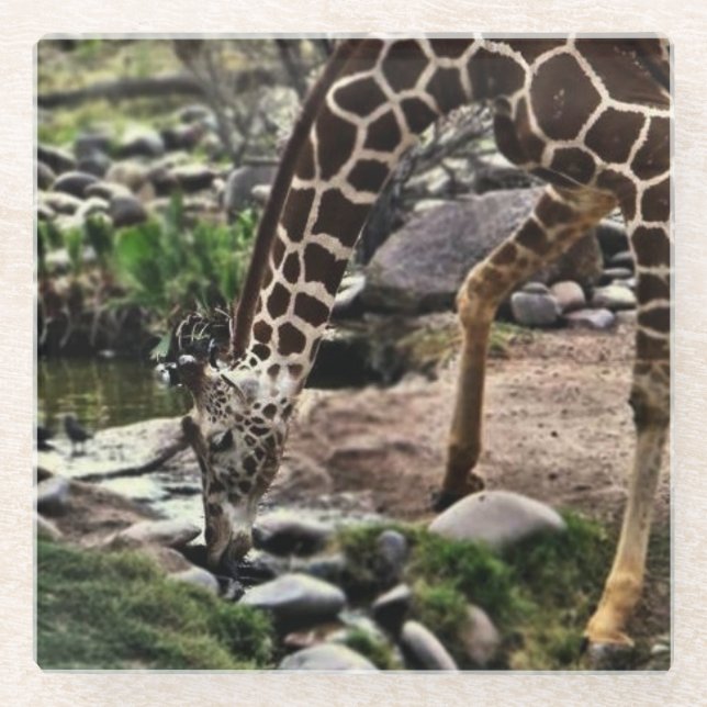 Dessous-de-verre En Verre Gracieuse Giraffe (Devant)