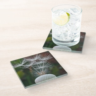 Dessous-de-verre En Verre Graines de pissenlit délicates