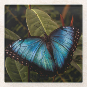 Dessous-de-verre En Verre Grand, beau, papillon bleu