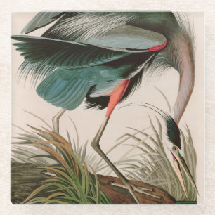 Dessous-de-verre En Verre Great Blue Heron Birds of America Audubon Imprimer