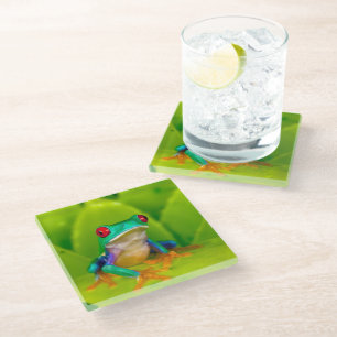 Dessous-de-verre En Verre Grenouille aux yeux rouges, Costa Rica